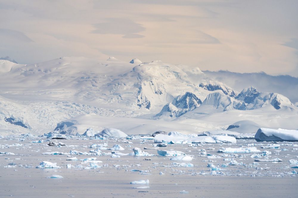 Photograph by Alex Chow