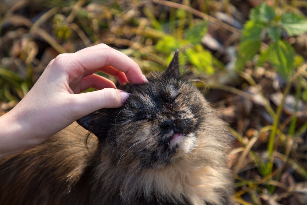 Photograph by Елена Кондратьева