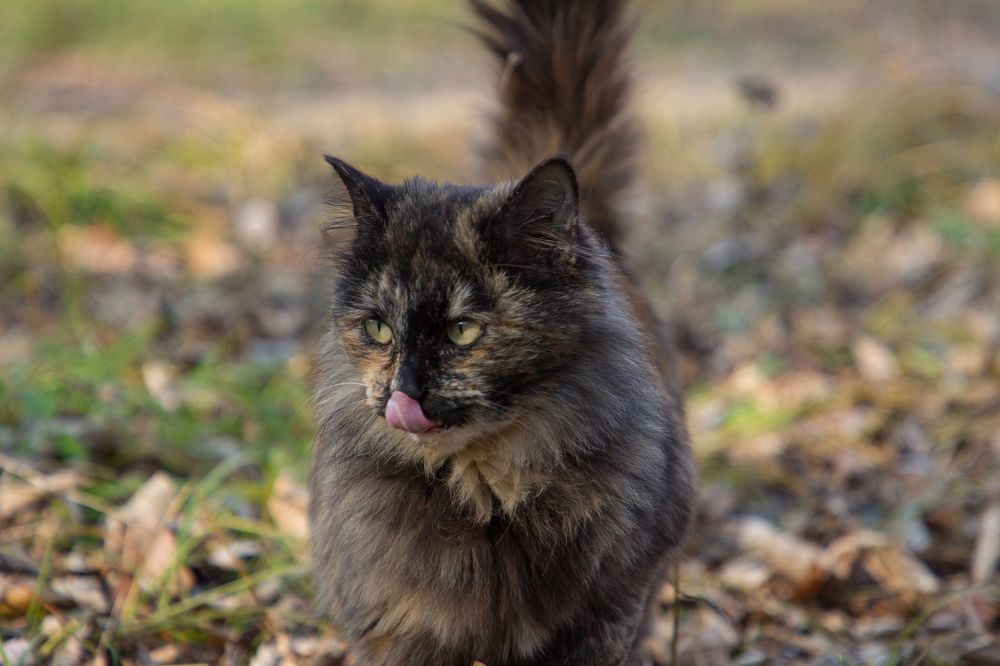 Photograph by Елена Кондратьева