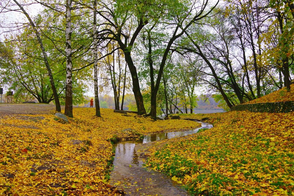 Photograph by Алексей Бородинов