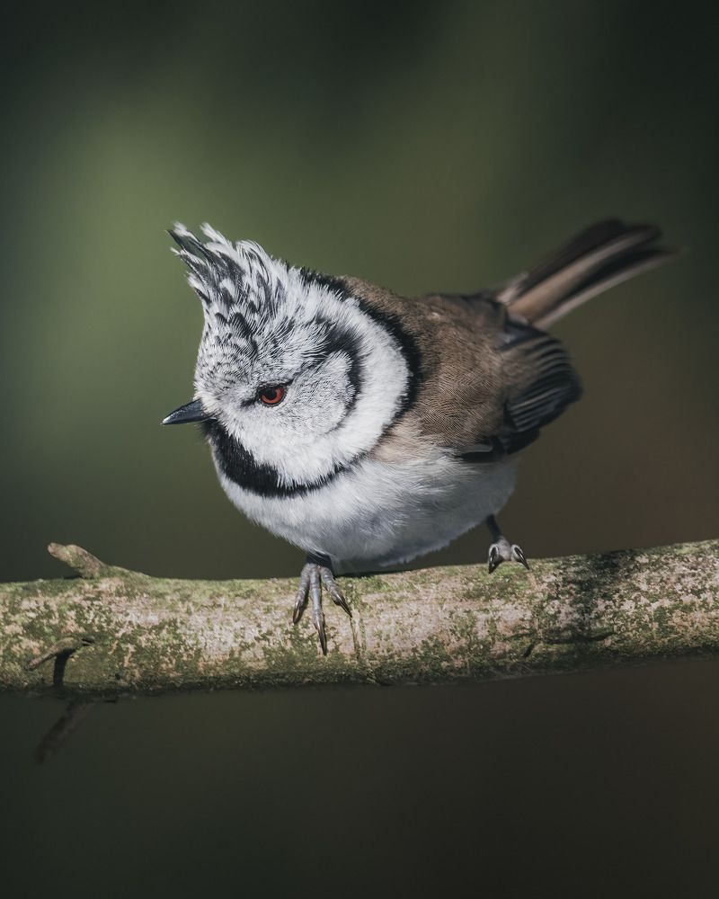 Photograph by Поляков Михаил