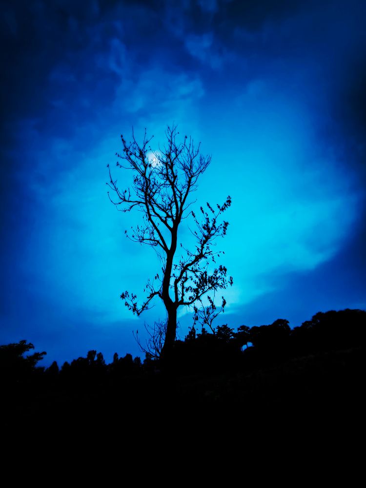 Photograph by Sobhanjan Mahanta