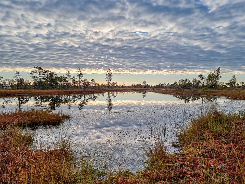 Photograph by Rolandas Valančauskas