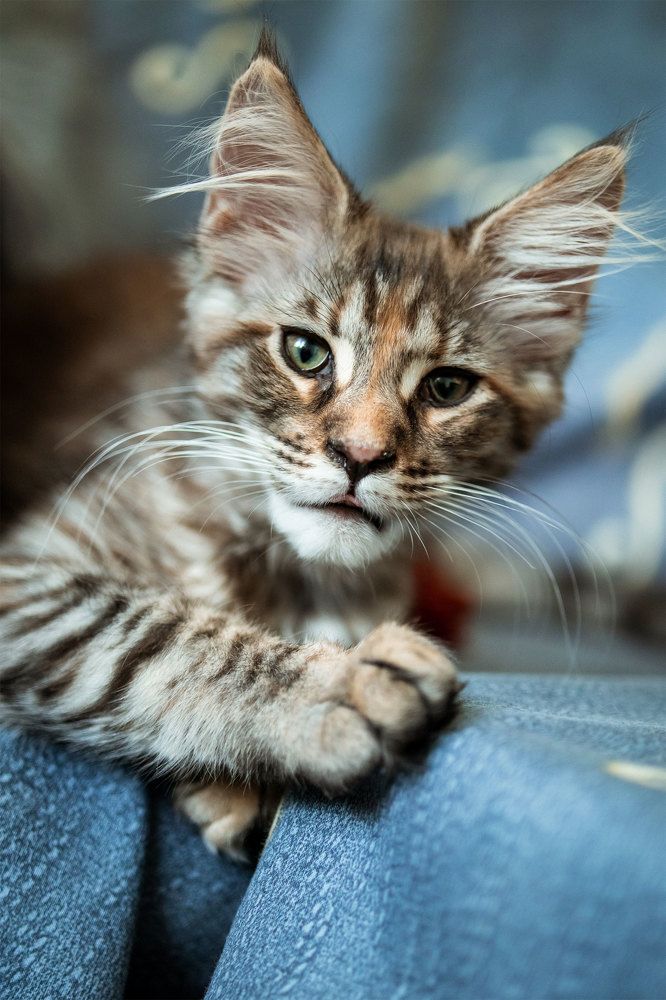 Photograph by Наталья Кузьмина