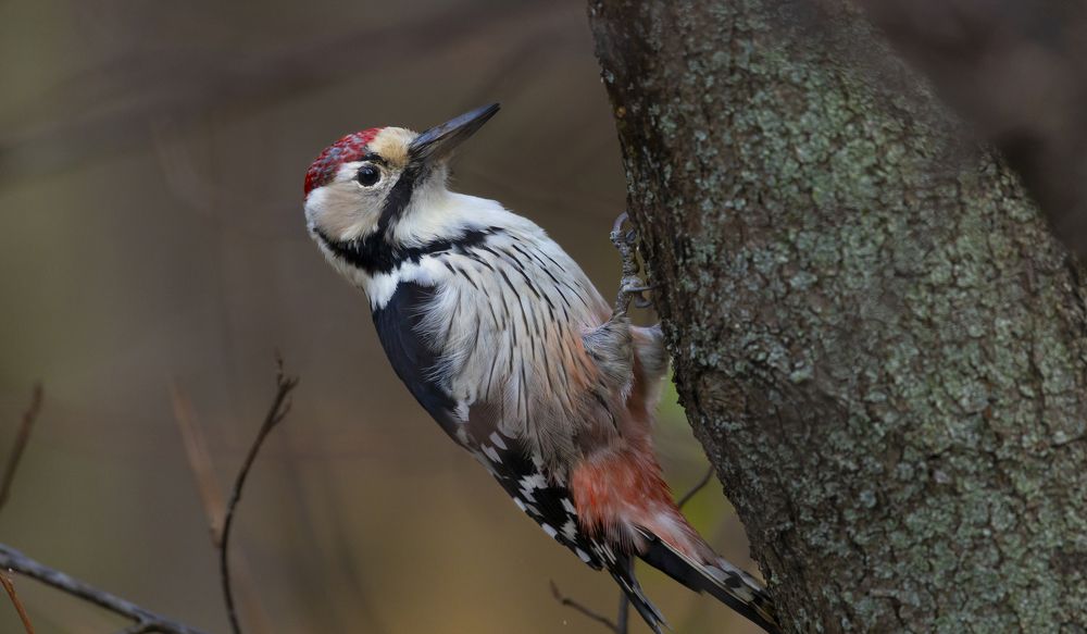 Photograph by Иван Золин