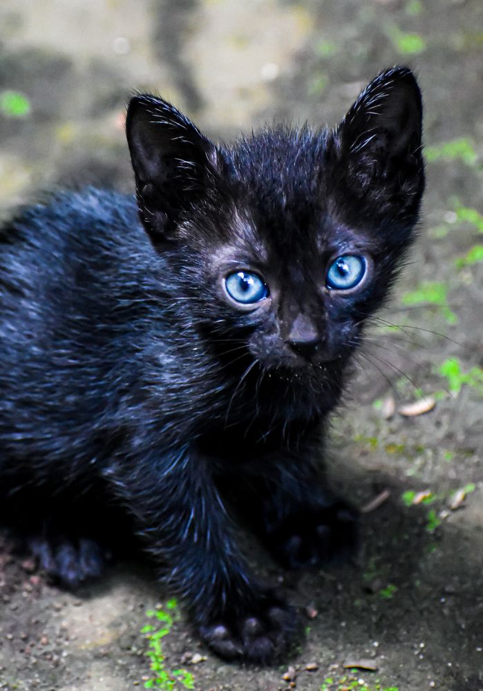 Photograph by Rehana Alpha