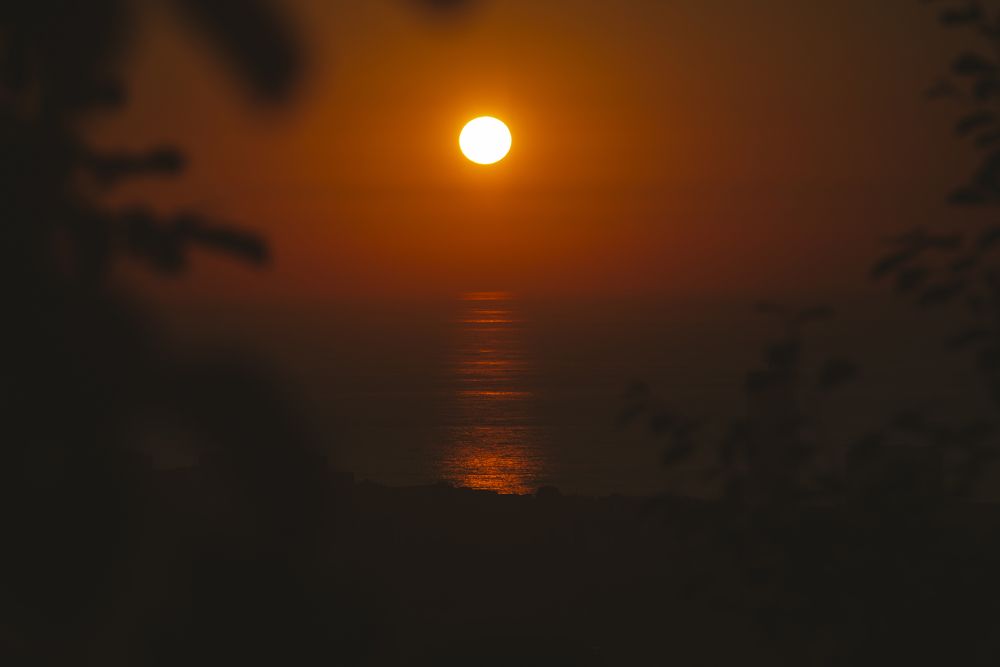 Фотография автора Vakhtangi Janjgava