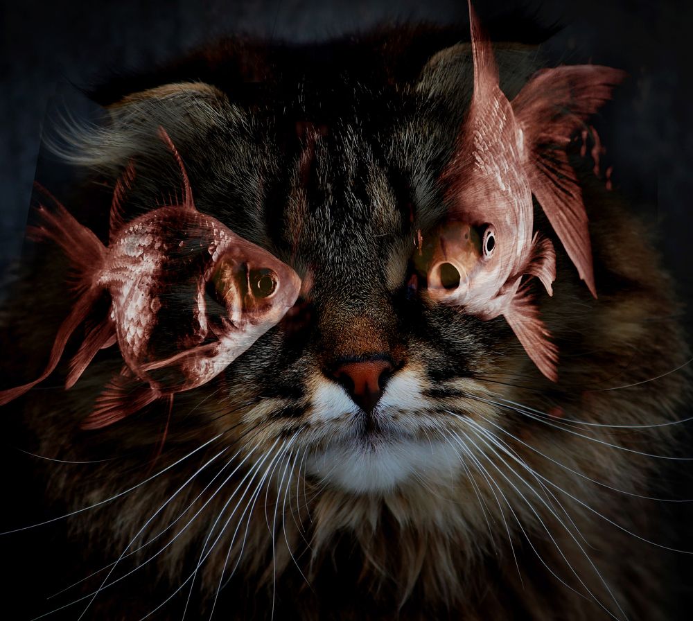 Photograph by Зоя Быкова