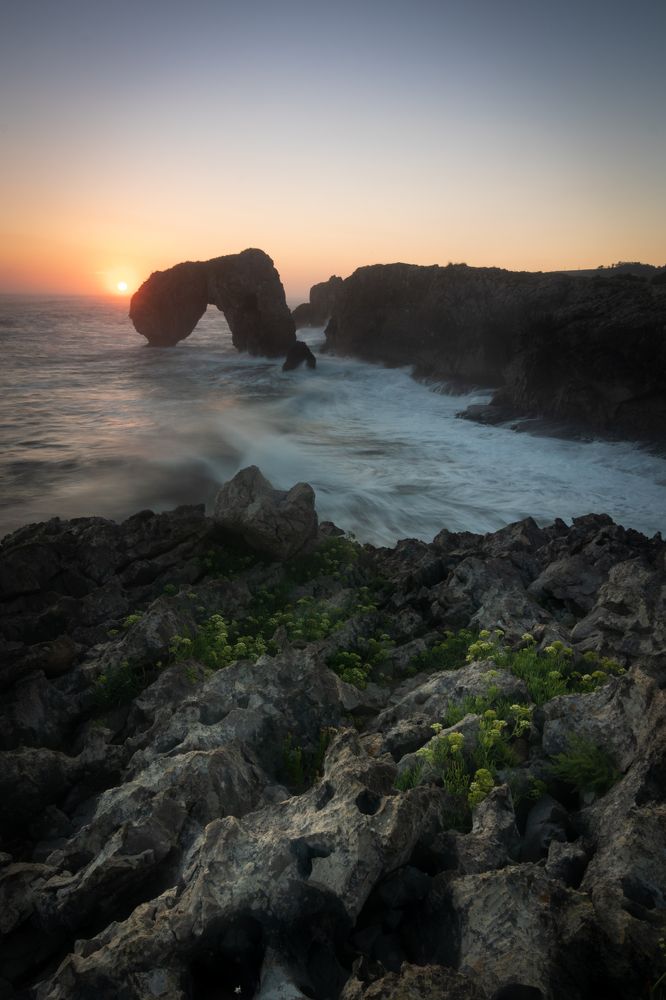 Фотография автора Laura Baratas