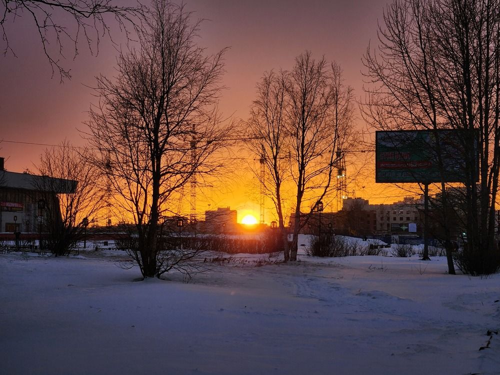 Photo #8906844