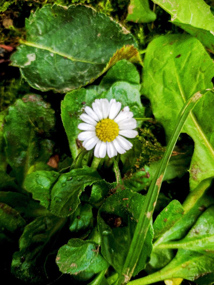 Photograph by Tazo Gaglo