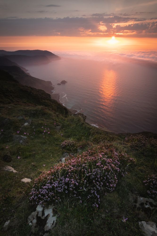 Фотография автора Laura Baratas