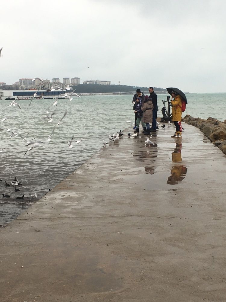 Photograph by Оксана Сербиненко