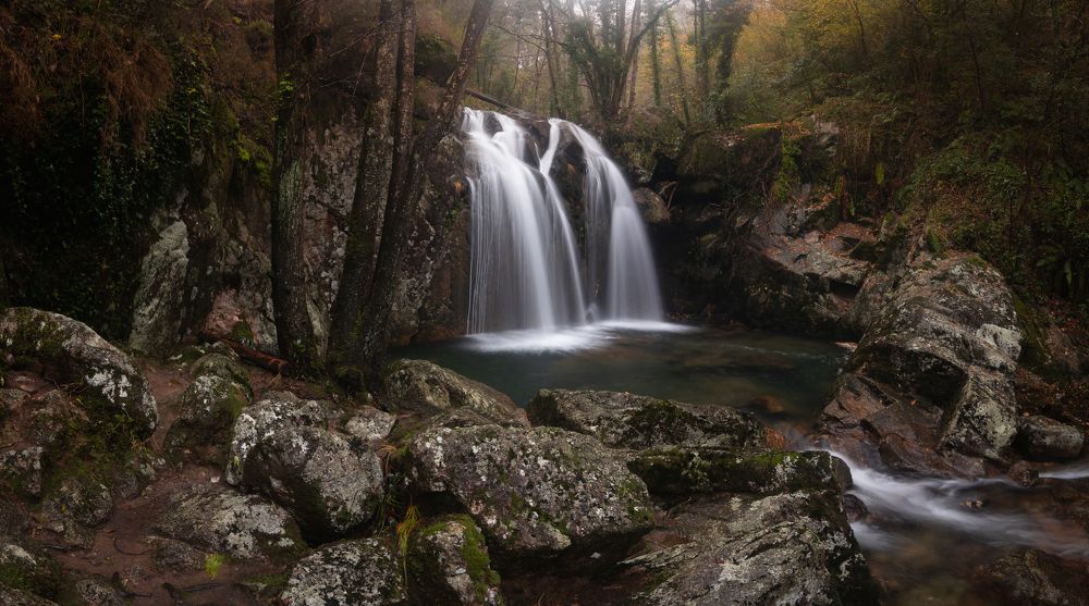 Фотография автора Laura Baratas