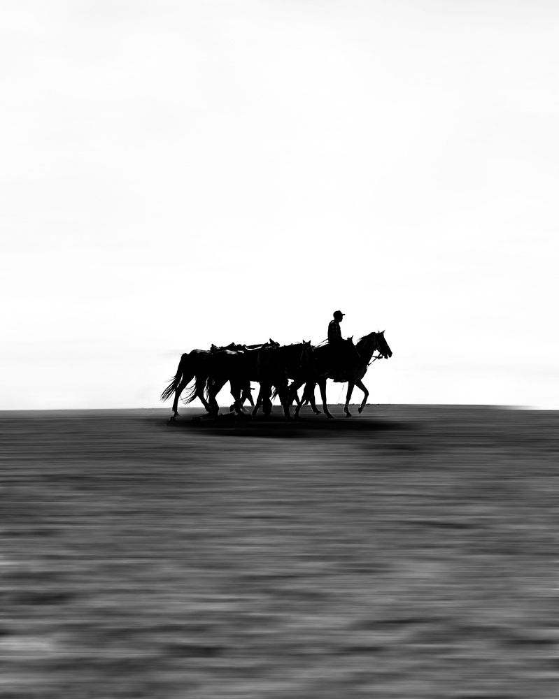 Photo #8906906