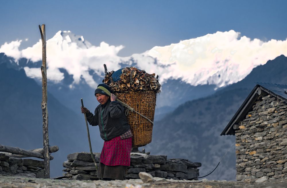 A women with the fodder