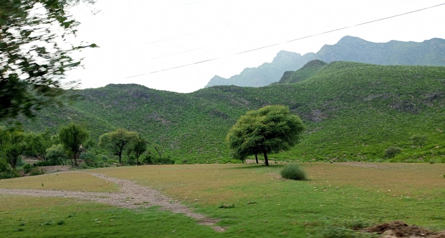 Wilderness beauty