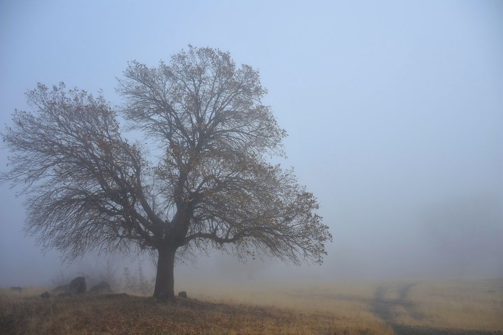 Photograph by faiaq ary