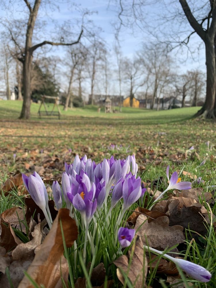 Photograph by Анастасия Мангольд