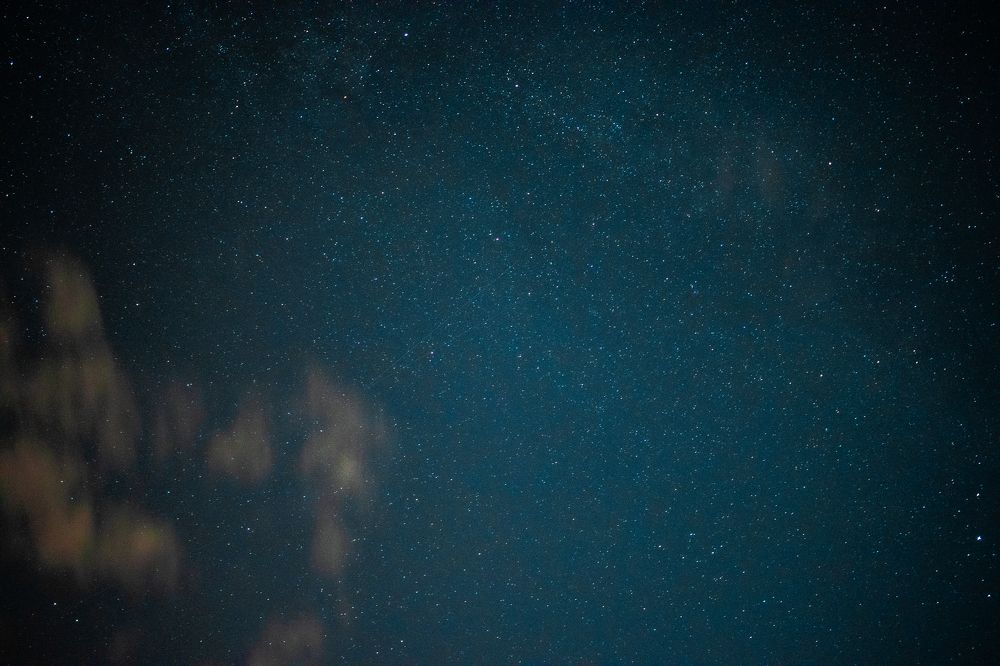 Photograph by Сергей Аникушин