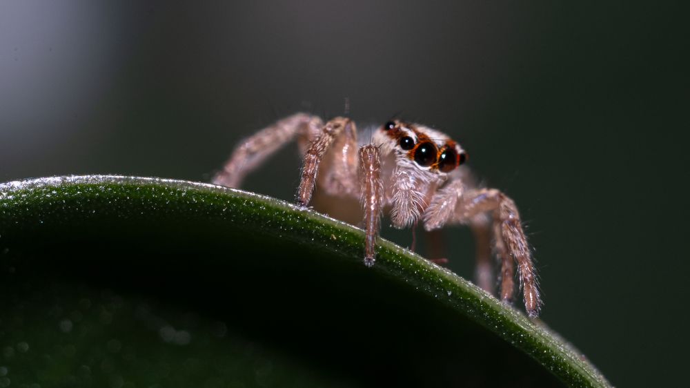 Photograph by Илья Мячин