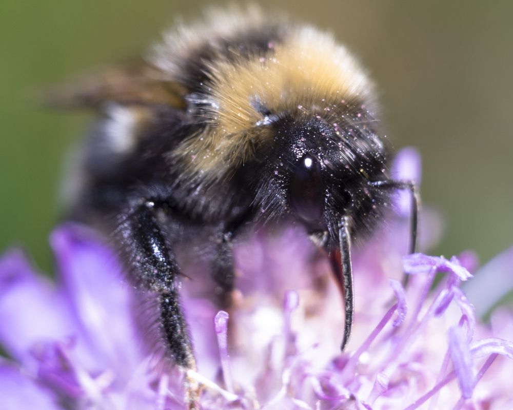 Photograph by Илья Мячин