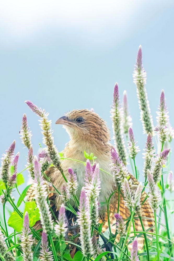 Photograph by yoga yoke