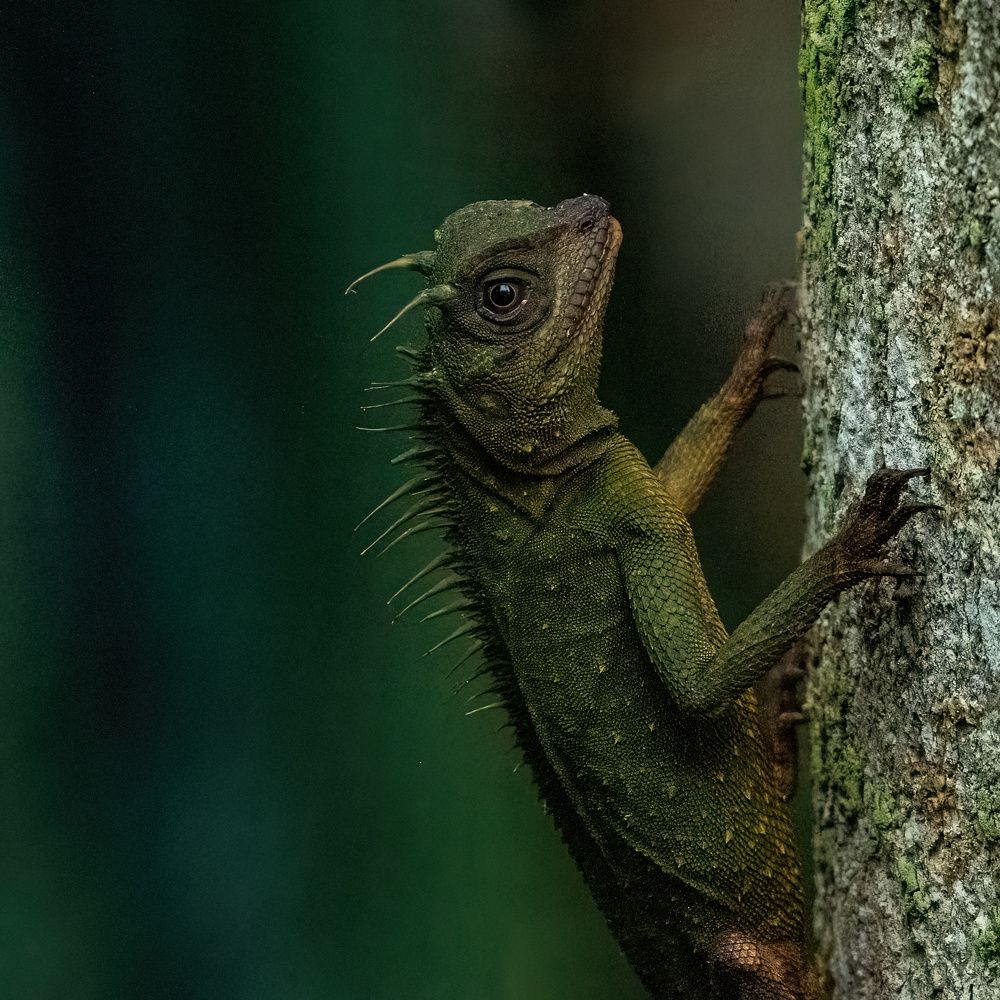 Photograph by yoga yoke