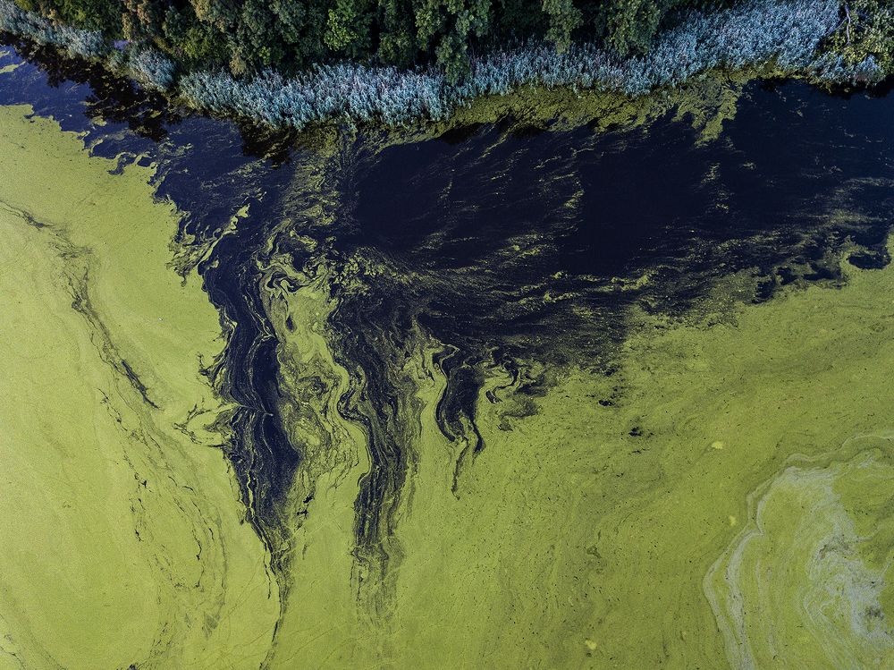 Фотография автора Popescu Cezar Gabriel