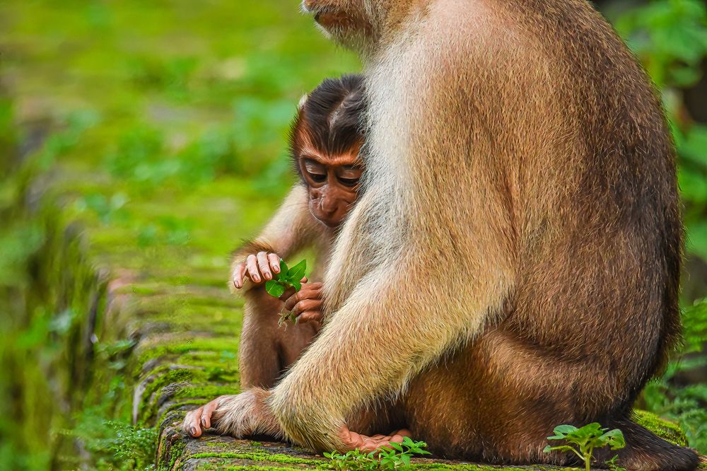 Photograph by yoga yoke