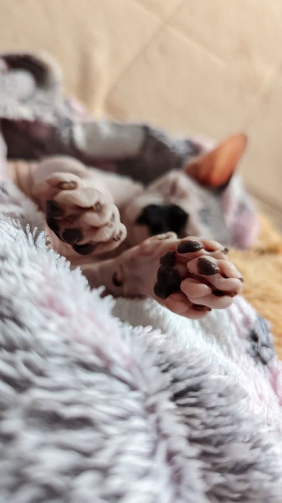 Photograph by Вероника Колбасова