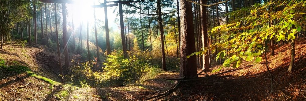 Photograph by Анастасия