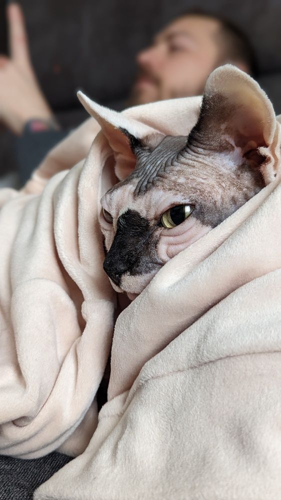 Photograph by Вероника Колбасова