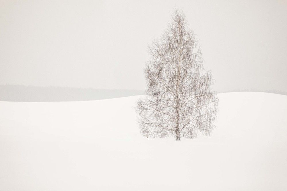 Фотография автора Oleg Podlesnykh