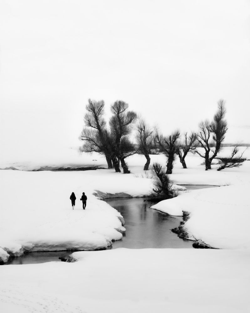 Фотография автора mohammad Alipour