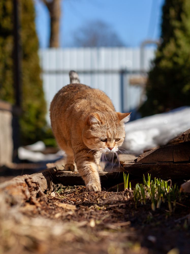 Photograph by Савицкий Анатолий
