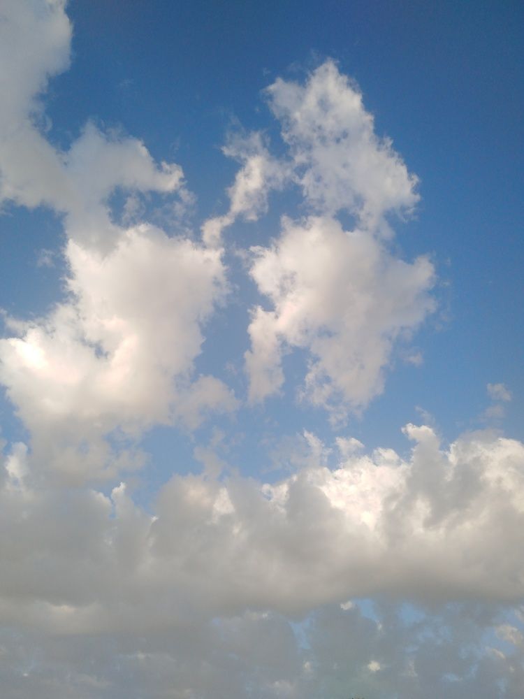 Photo #8907369