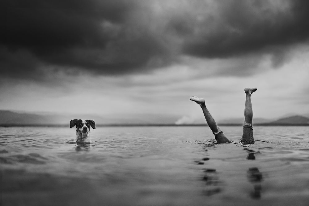 Photograph by Brian mena laureano