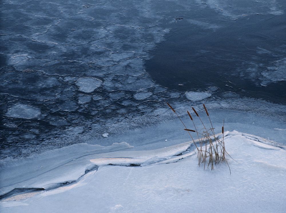 Photograph by Андрей Ларионов