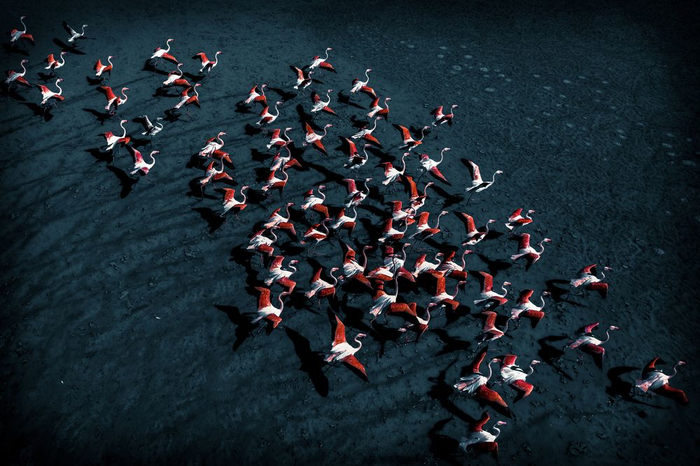 Photograph by Bahadir Sansarci