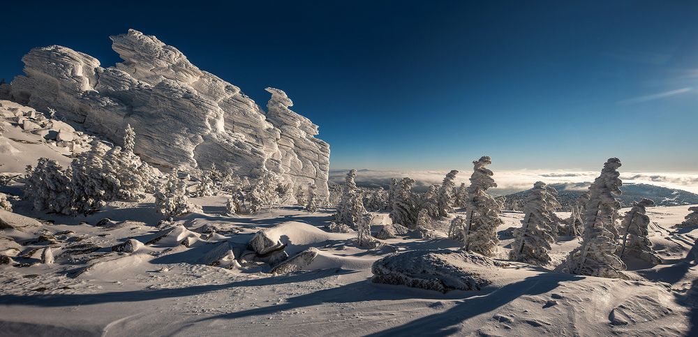 Заоблачная гармония