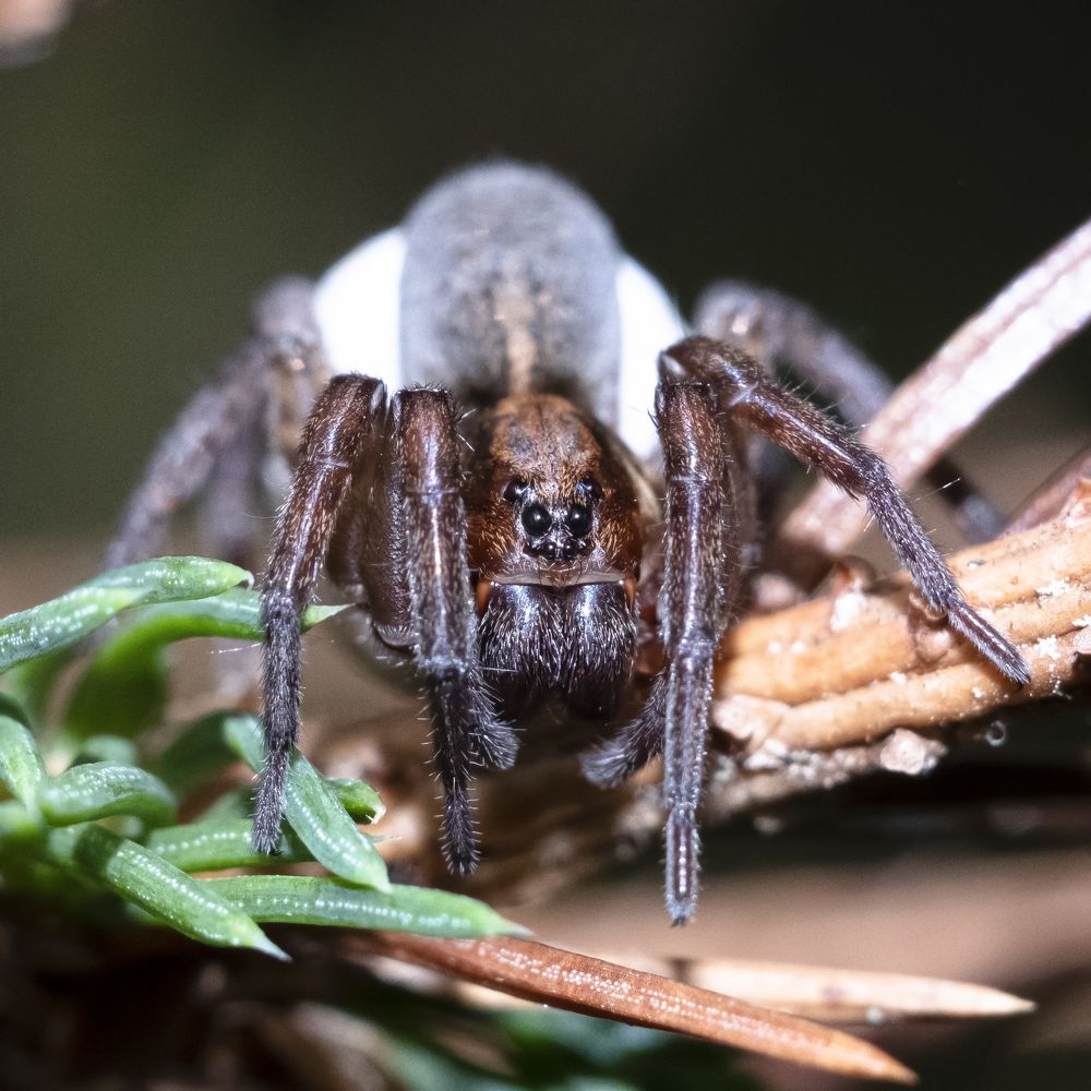 Photograph by Илья Мячин