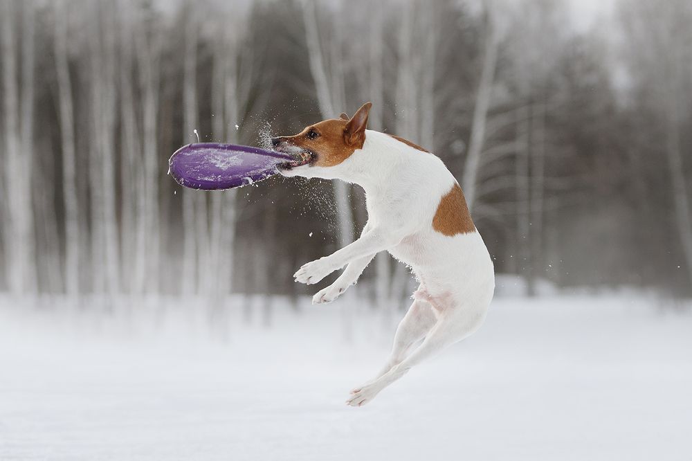 Photograph by Ольга Легенькая