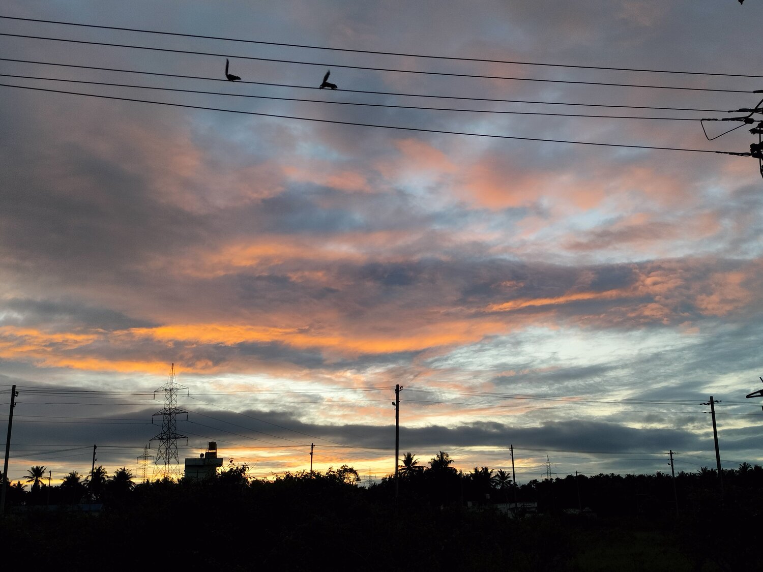 Photo #8907565