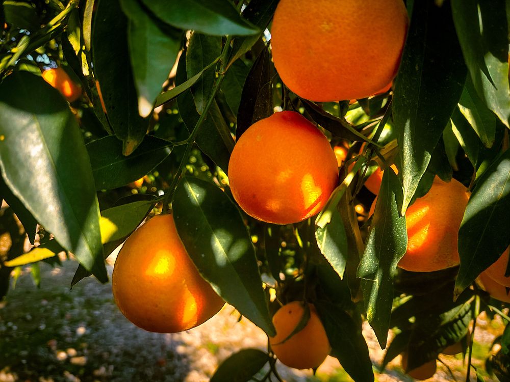 Photograph by Diana-Alexandra Amărinei