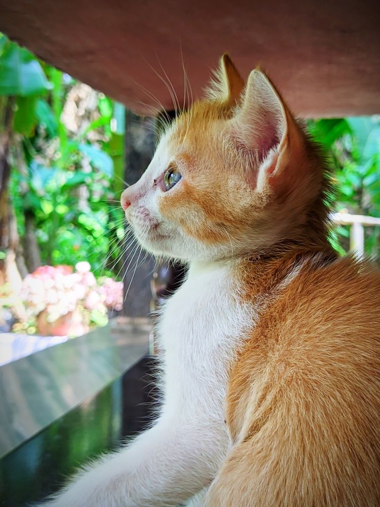 Photograph by Vaishnav K V