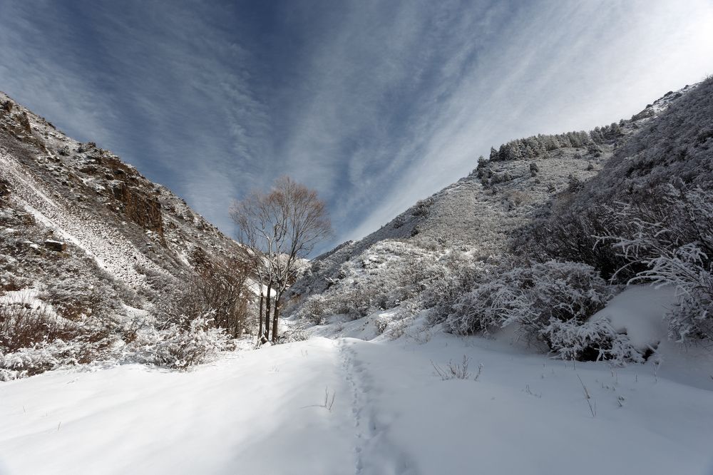 Photograph by Антон Андриянов