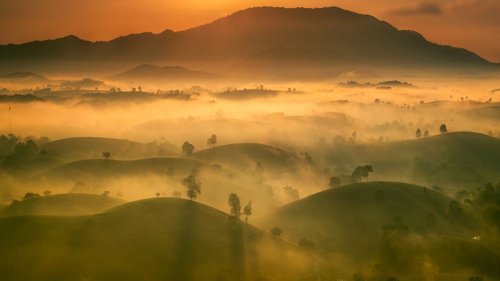 Фотография автора Đào Cảnh