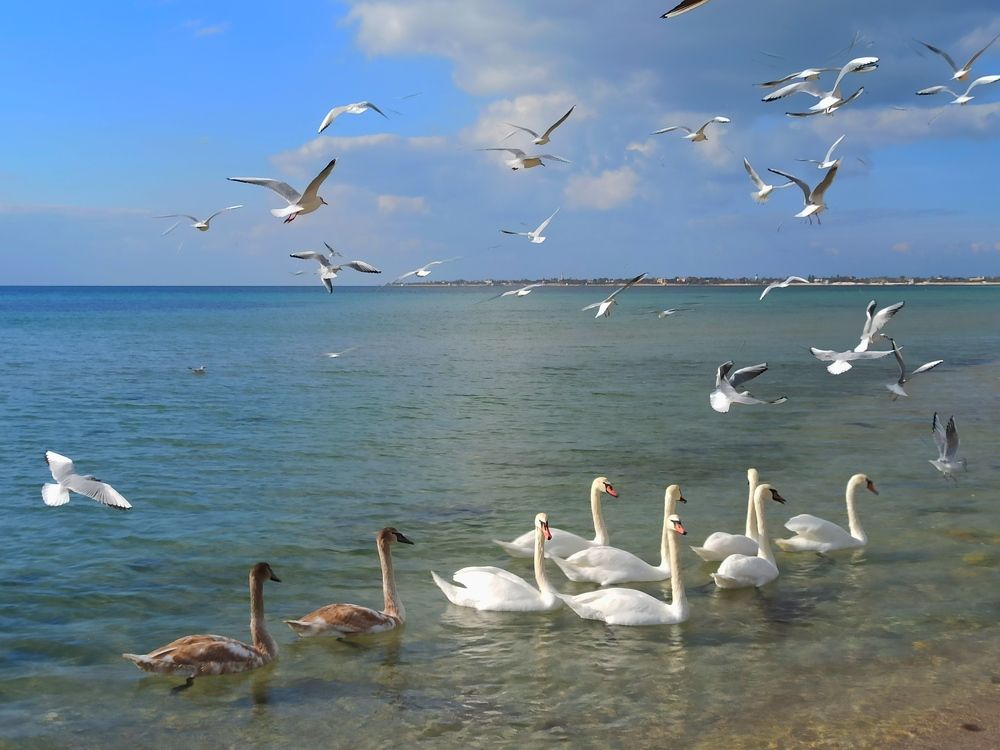 Photograph by Елена Затевалова