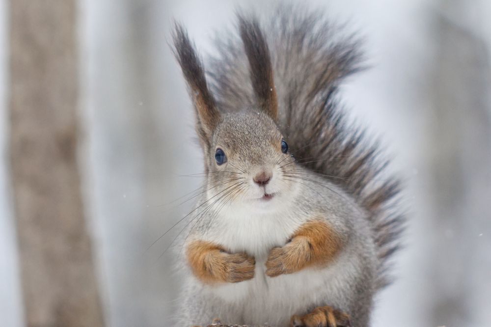 Photograph by Анатолий Калмыков